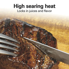Electric Indoor Searing Grill