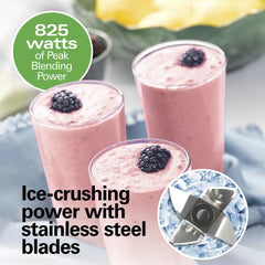 PowerBlend Duo, Silver