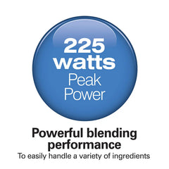 2 Speed Hand Blender