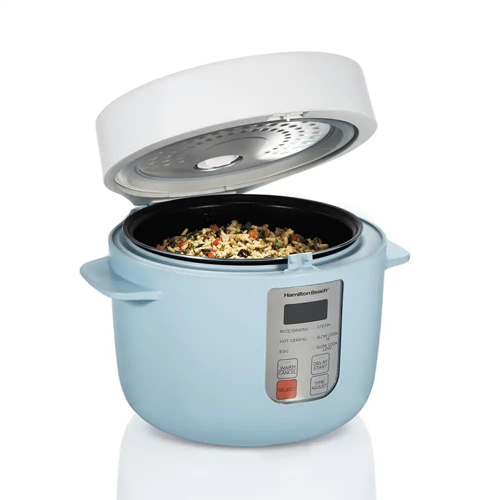 Multi-Function Rice Cooker