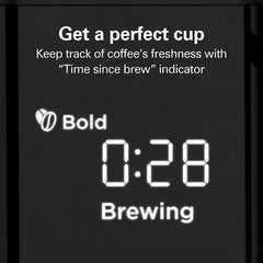 Premium Flavor 12 Cup Coffee Maker