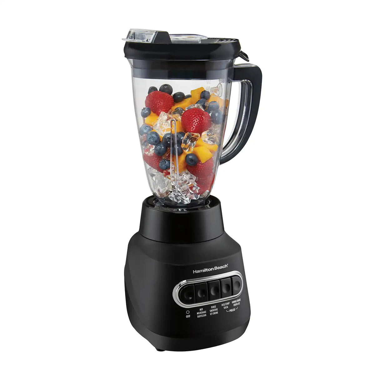 MultiBlend® Blender