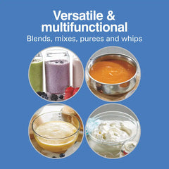 2 Speed Immersion Blender