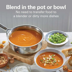 2 Speed Hand Blender